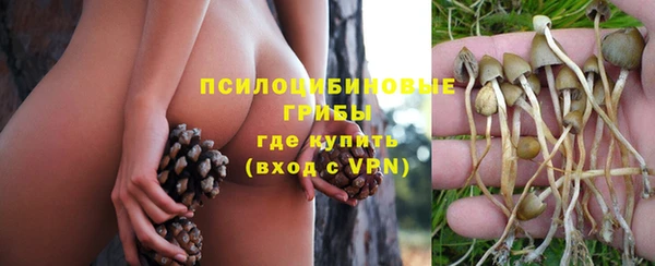 а пвп мука Алексин