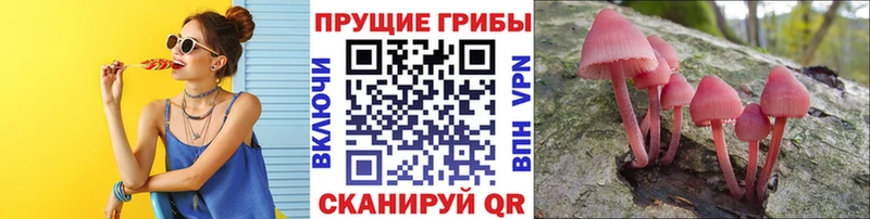 Псилоцибиновые грибы ЛСД  Агрыз 